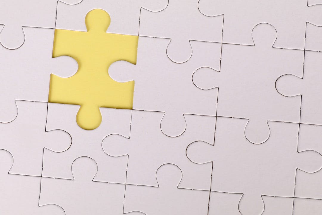 Behavioral Science In the Organization Puzzle