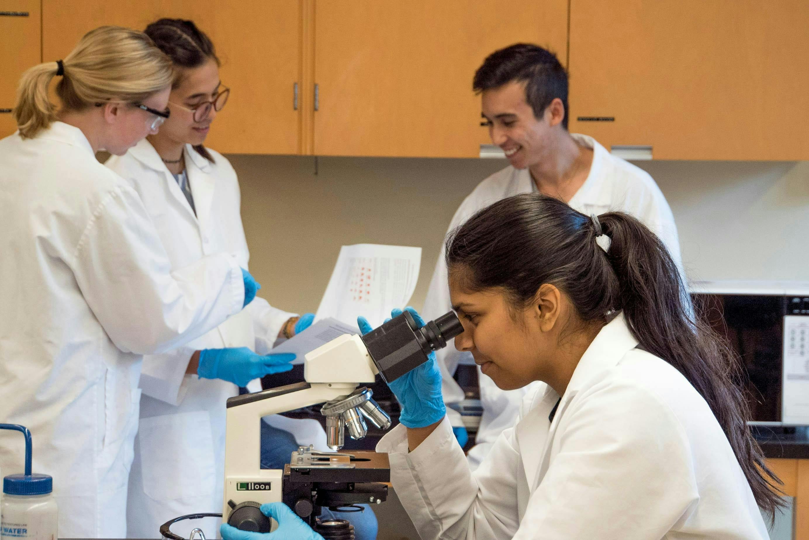 scientists working in a lab